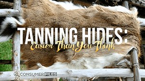 Tanning Hides 2025: Easier Than You Think