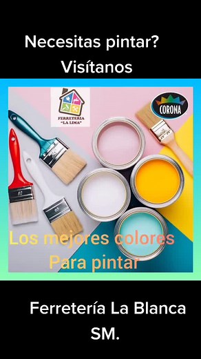 #ferrets #pintatucasa #tredinng