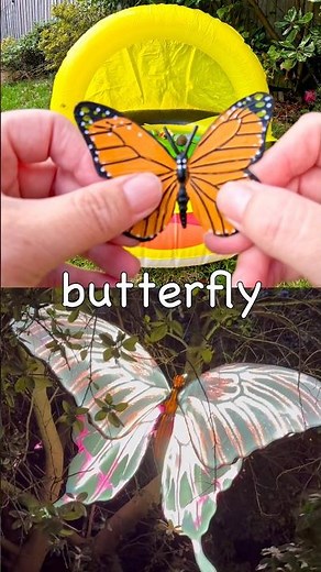 Kids Learn | Bug Insect Names at the Bumblebee Pool: Butterfly Wasp Millipede Crocket Woodlouse