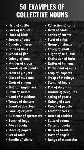 Collective Nouns | Learn English Grammar Easily