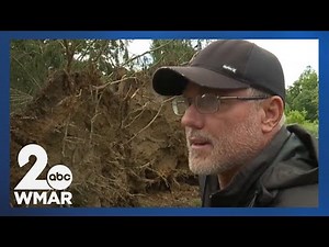 Licensed tree expert shares advice for fallen trees after a storm