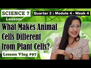 SCIENCE 7 Q2 Module 4. What Makes Animal Cells Different from Plant Cells
