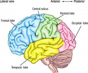 What is Frontal Lobe Disorder?