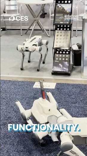 Deep Robotics' Robot Dog at CES 2025