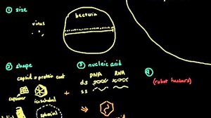 Virus structure and classification
