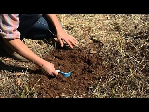 How to Collect a Soil Sample for Lab Analysis