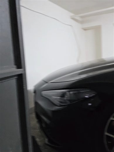 Passione Motori: Alfa Romeo e Sogni in Turbo