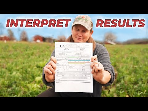 Soil Testing Made Easy: Report Explained