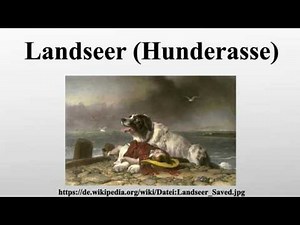 Landseer (Hunderasse)