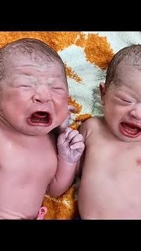 Cutest Twin Newborn babies from day one to 1 year