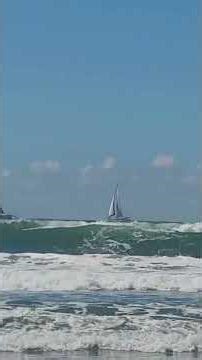 A Perfect Southern California Day for Sailing ⛵ | Peaceful Ocean Views & Good Vibes