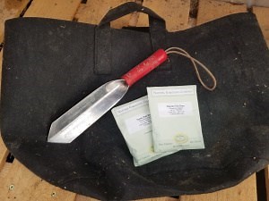 How to Grow Runner Beans in a Grow Bag | Urban Backyard Farming