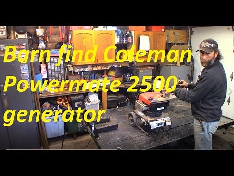 Coleman Powermate 2500 generator sat for a long time. Let's get it running!