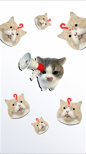 😳 Думаете, == и is — это одно и то же?