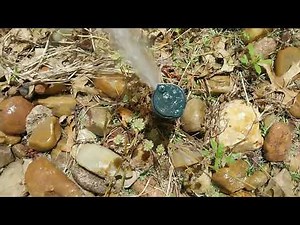 Spring Startup & Updated Tour of my Sprinkler System (2024)