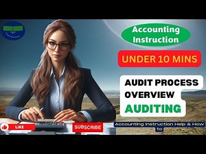Audit Process Overview Auditing