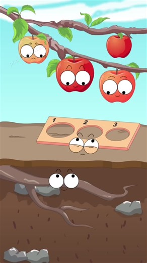 Why Are Apples Crisp and Sweet? It Turns Out Both Nutrients and Sunlight Are Essential!