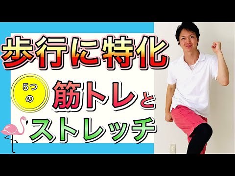【シニア向けトレーニング】効率よく歩行に必要な筋肉を鍛える筋トレ&ストレッチ（解説付き）
