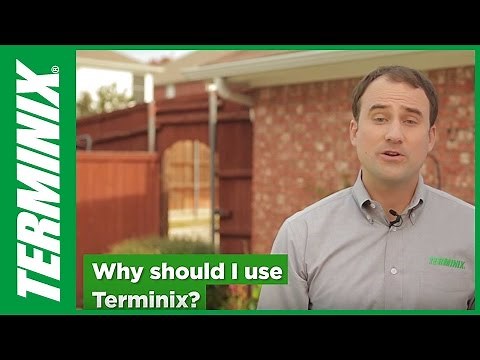 Why Choose Terminix Control Services