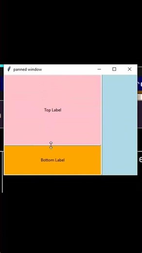 Split Screen GUI using Tkinter 😍 | PanedWindow Python #shorts #coding #pythonminiprojects #tkinter