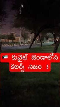 🇰🇼 కువైట్ జెండా ఎలా వచ్చిందో తెలుసా? 😲 | Kuwait Flag History & Meaning | Drives and Vines Telugu