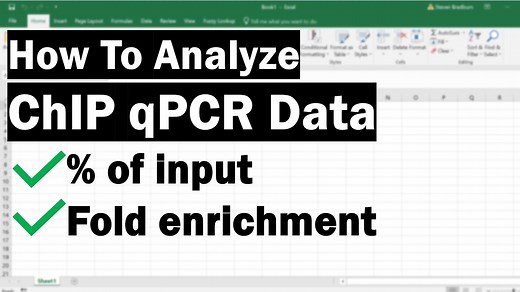 How To Analyse ChIP qPCR Data