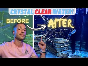 The 5 Hacks For Crystal Clear Aquarium Water.