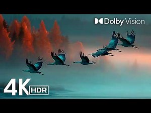 Unstoppable Beauty of 4K Videos | 4K HDR 120fps | Dolby Vision