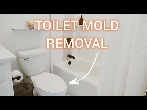How To REMOVE MOLD from the Toilet in Less Than 10 Minutes! #toiletcleaning #moldremoval