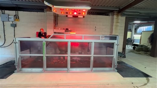 37 reactions · 6 comments | Strength & conditioning training for 22 year old Chester  ahead of the @nseaequestrian Championships @addingtonequestrian this weekend . Spaces available now for treadmill sessions or residential stays. Also check out our @nestsireland Salt Therapy room with heat lamps and @vitafloor stable for all round maintenance or recovery from injury or surgery. | Bruce Menzies | Facebook