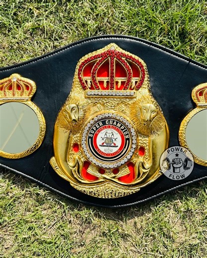 WBA Boxing Championship Belt – Gold Plated Champion Title Belt - Etsy