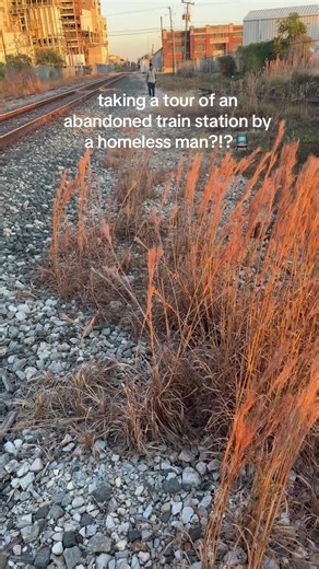 I was actually frightened at first but like YOLO 😝😝#random #fypシ゚viral