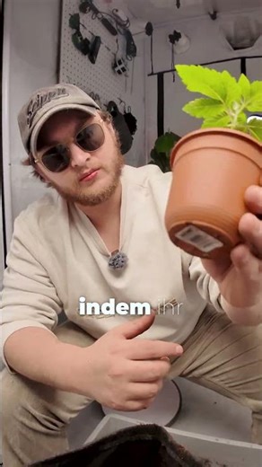 Grow-Basics: Planze in Living Soil eintopfen🌱 | #greennode #shorts