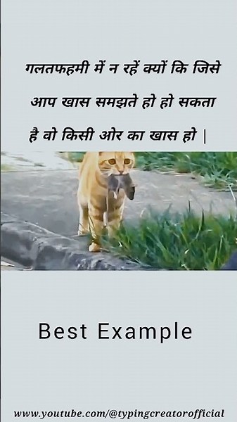 गलतफहमी में न रहें | Best Example | #cat #love #motivation #shorts #2026 #new #shortfeed #trend