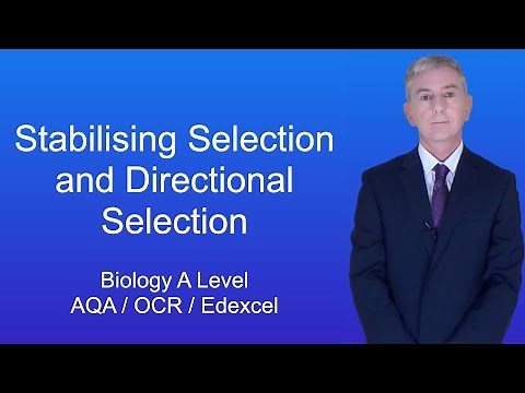 A Level Biology Revision "Stabilising Selection and Directional Selection"