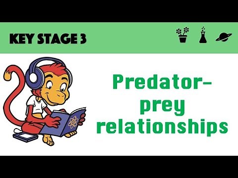 Predator Prey Relationships