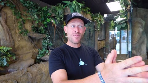 Experts weigh in on the strengths and weaknesses of snake versus shark