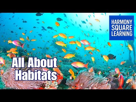 Tundra, Desert, Rainforest & Ocean — Habitats for Kids!