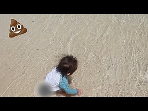 NO POOPING ON THE BEACH!
