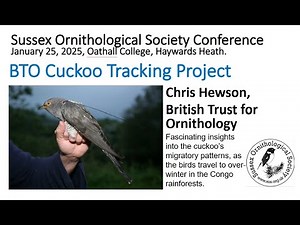 BTO Cuckoo Tracking Project