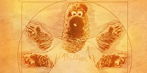 The story behind every team's mascot