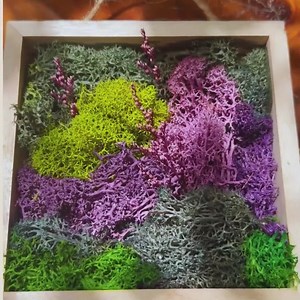 DIY Moss Art Kit – Easy Preserved Moss Frame Craft | Make Your Own Botanical Wall Decor | Eco-friendly Gift | Relaxing Nature Project - Etsy