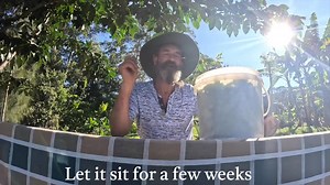 How to brew COMFREY TEA (for your garden) 🍃 What you'll need: 🍃 Comfrey (but you knew that already) 🪣 A bucket 💧 Water (preferably rain water) 1. Fill the bucket 3/4 full with chopped comfrey 2. Fill the bucket with water 3. Let it sit for 3 to 6 weeks Too easy. Use straight on your fruit trees or mix 50:50 with water for your vegetable garden. Your veggies will thank you later! 🥕 Want to learn more about comfrey? Watch the full episode now! Link in the comments 👇 #organic #garden #gardeni