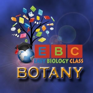 General Characteristics of Fungi PPT | EasyBiologyClass