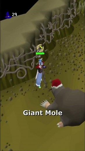 Best Beginner Bosses in OSRS 👾