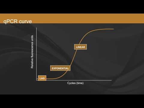 Overview of qPCR