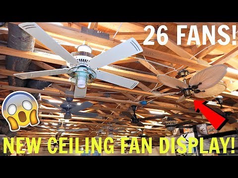 New Ceiling Fan Display - My Biggest Display EVER