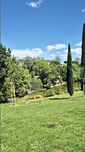 David Bowie - Starman