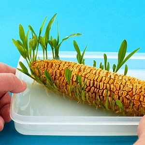 2.3M views · 39K reactions | Our Top 10 Tips & Tricks Of 2021 (So Far)  FULL TIPS & TRICKS: https://bit.ly/3h4cO79 | Cleverly | Facebook