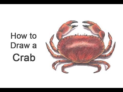 How to Draw a Crab